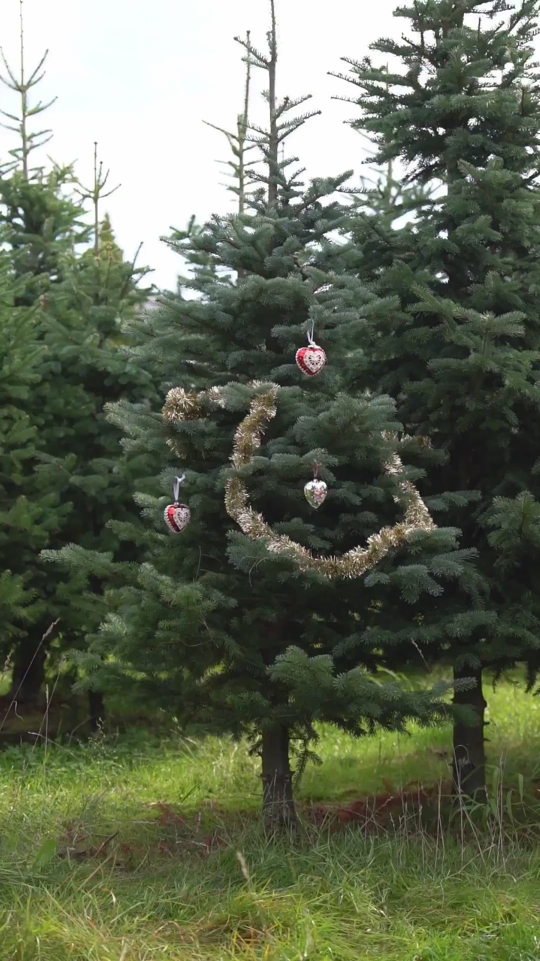 Julekjoleupdated#gid://shopify/Video/27192683528262#video_id