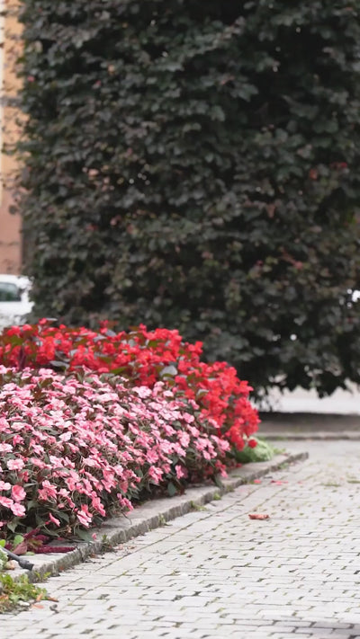 vinrød kort kjole updated#gid://shopify/Video/26814264344646#video_id