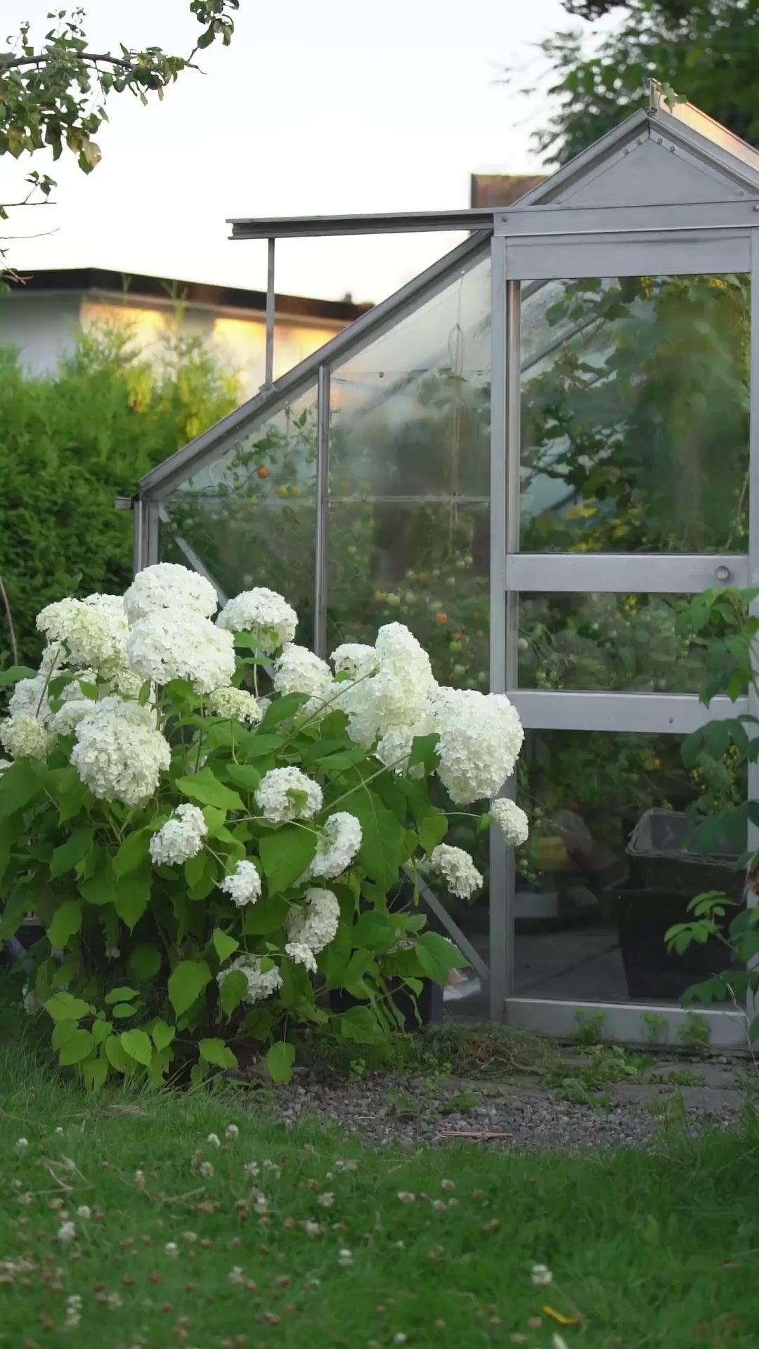 Rosa småblomstrete fotsid omslagskjole