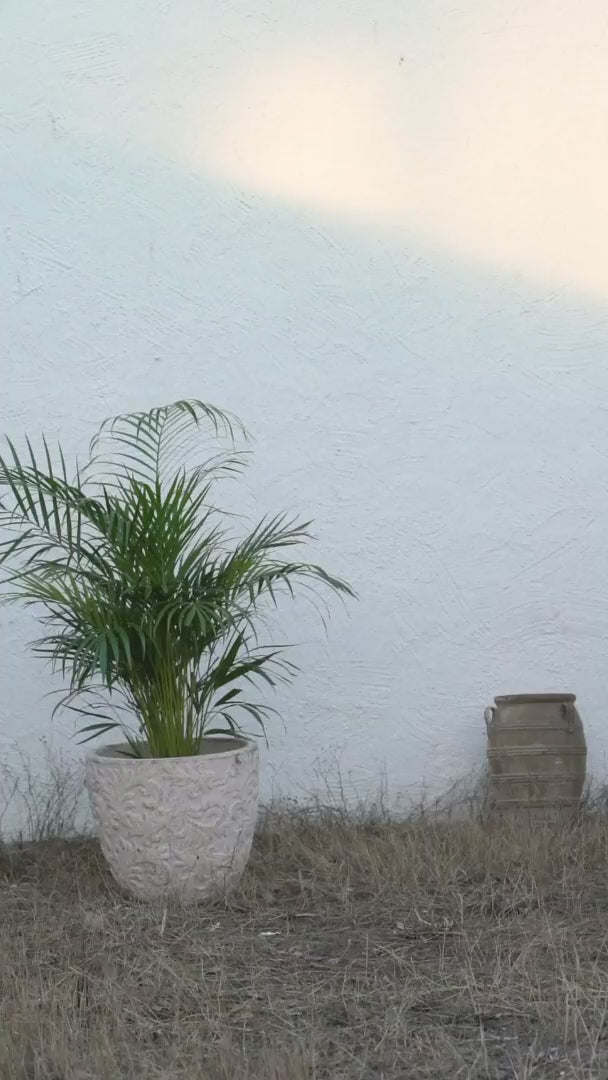updated#gid://shopify/Video/21368705679430#video_id