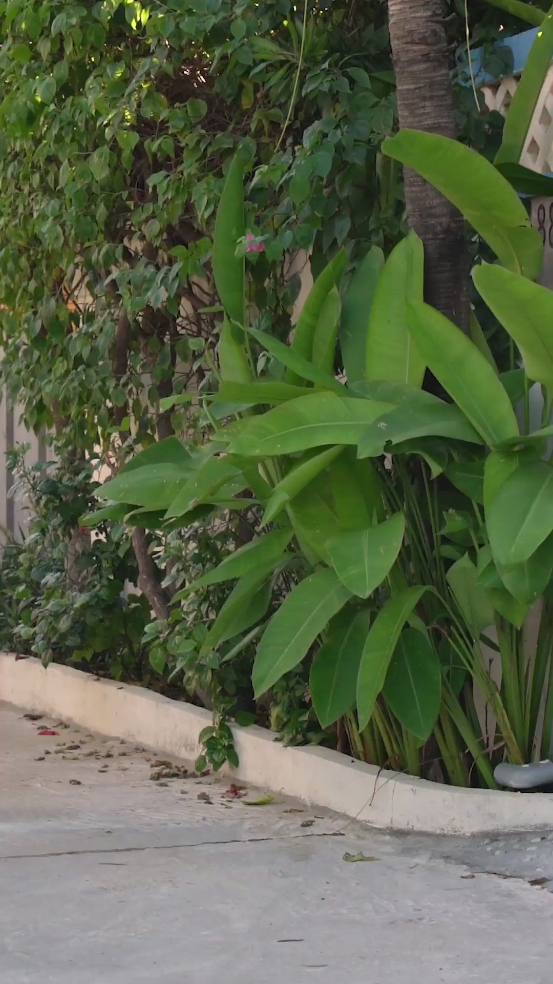 Kort hvit omslagskjole med gule blomster