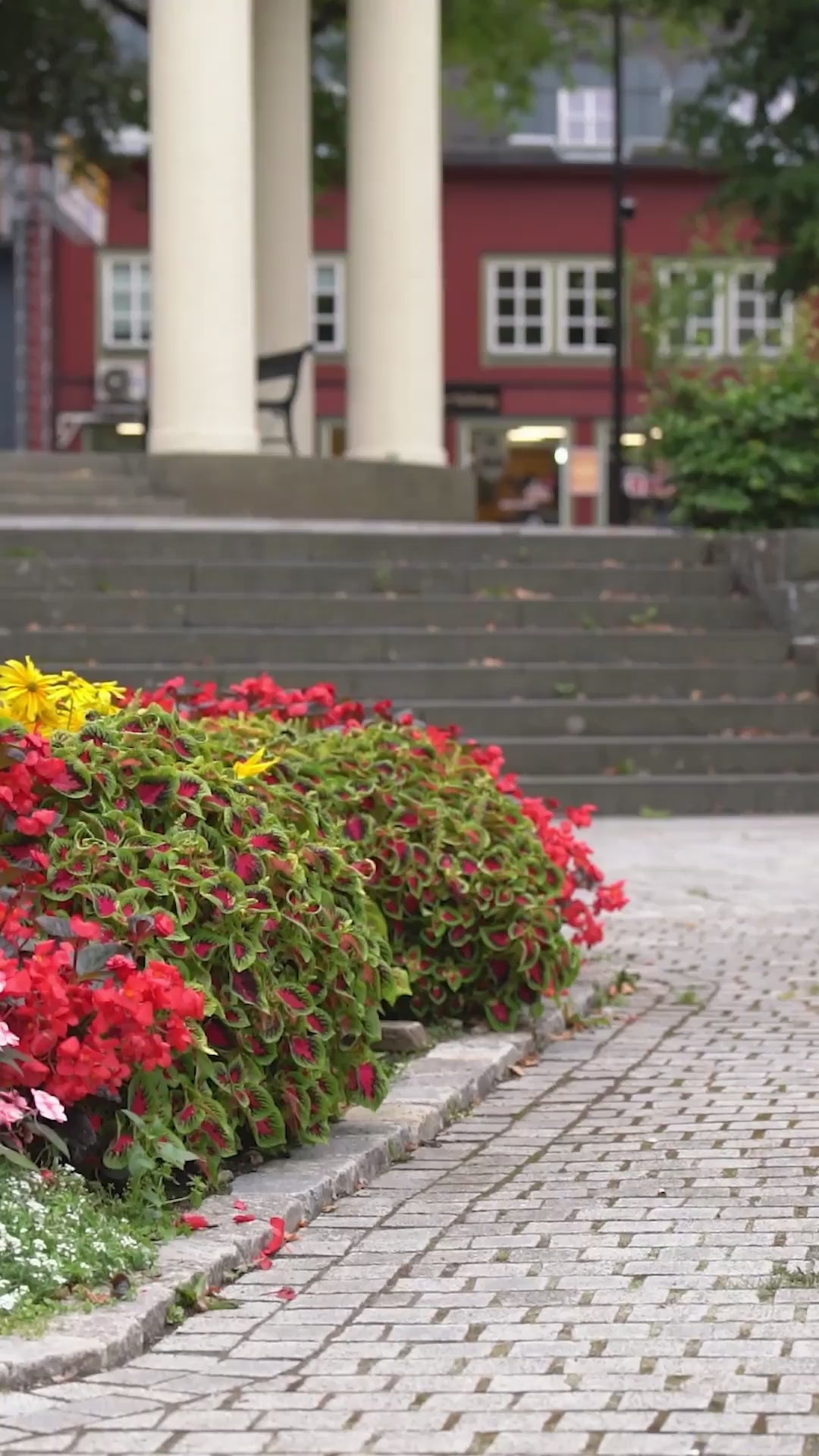 vinrød kort kjoleupdated#gid://shopify/Video/26814259298374#video_id