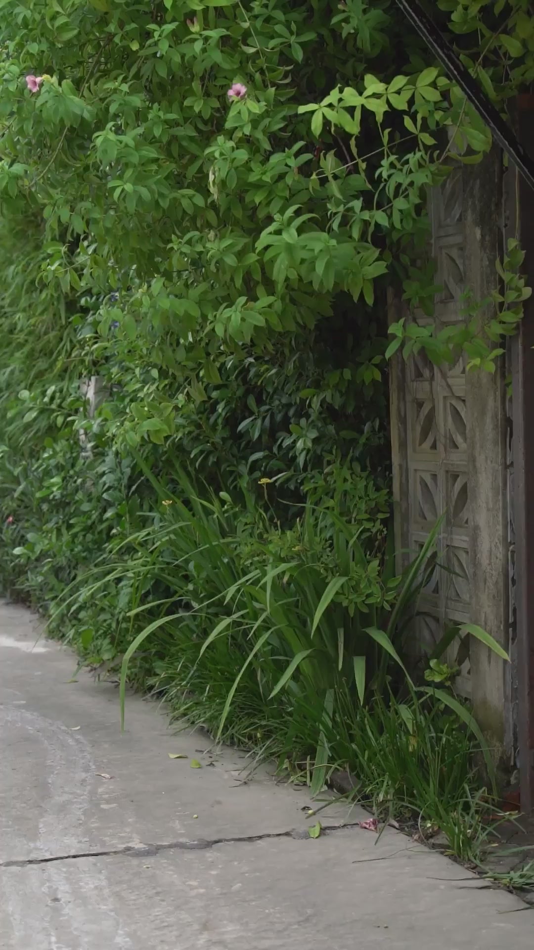 Hvit skjorte med ruter og strikk på arm