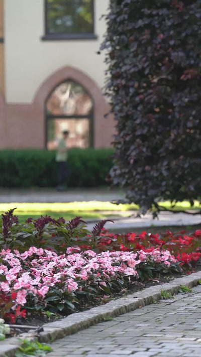 updated#gid://shopify/Video/26538462281798#video_id